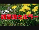 雑草抜き[日給50万]【草を抜くだけ】