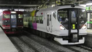 E257系が使用されていた快速列車【E257系《おまけ》】