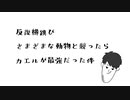 反復横跳びで色んな動物と競ったらカエルが最強説