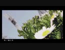 【歌ってみた】春に一番近い街【すいれん】