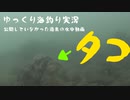 タコが偶然撮れた水中動画　【ゆっくり海釣り実況】