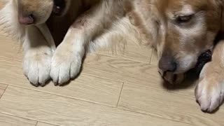 仲良し！