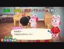 【あつまれどうぶつの森】仕事に疲れたアラサーが無人島生活 19日目
