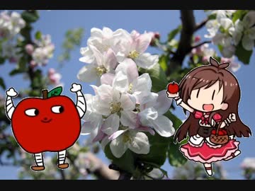 (りんごの)花は咲く