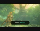 [BW04]ゼルダの伝説 ブレスオブザワイルド実況プレイPart4 迷いの森
