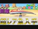 はたらけ！しゃちくの森7日目【あつまれ！どうぶつの森】