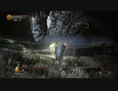 【DARKSOULS3】SL1縛りボス攻略：覇王ウォルニール