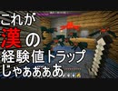 ある程度の知識はある初心者プレイ#19【Minecraft】win10版
