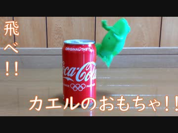 カエルのために腕が鳴る動画