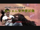 【SEKIRO-隻狼-】弦ちゃん音声素材集