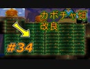 【実況】凄い家を造りたくて【PC版テラリア】Part34