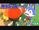【あつまれ どうぶつの森】俺たちはこのみしらぬネコを知っているッ！！＃27