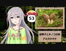 【モバマス】星輝子とキノコの話53　アミガサタケ