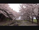 【リアルあつ森】「裏山探索その１」