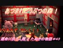 【あつ森】前人未島へようこそ！#43【あつまれどうぶつの森】