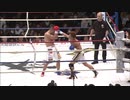2019/1/26　【Krush.97】　伊澤波人 vs 和夢