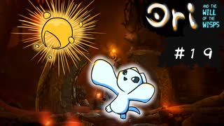 【お絵描きしながらオリを楽しむ】#１９【Ori and the Will of the Wisps 実況】