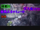 【MHWI】歴戦ネロミェールを初見で行ったら悲惨だった