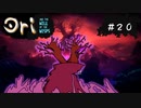 【お絵描きしながらオリを楽しむ】#２０【Ori and the Will of the Wisps 実況】