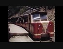 軽便鉄道 ②～特殊狭軌の｢カブト虫｣や｢おとぎ列車｣など