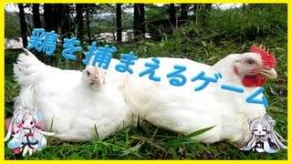 鶏を捕まえたり鶏に狩られたりするゲーム（ボイスロイド+ゆっくり実況）
