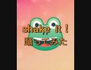 shake it !【踊ってみた】
