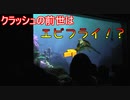 クラッシュの前世はエビフライ！？【タートルトーク】東京ディズニーシー