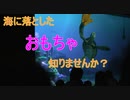 海に落としたおもちゃ知りませんか？【タートルトーク】東京ディズニーシー