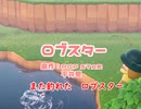 あつもり（あつまれどうぶつの森）／ロブスター