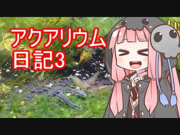 人気の ヤマトヌマエビ 動画 81本 ニコニコ動画