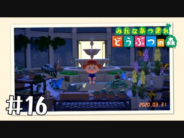 【実況】みんなあつまれ どうぶつの森 #16