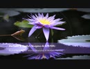 Progressive Japan Vol.09 ~Perfume x Japanese Progressive House MIX 02~