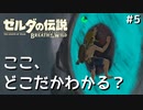ゼルダの伝説botw　鬼畜亀甲縛りプレイ　＃5