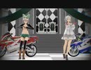 Bad Apple!!【Varimatius（ｳﾞｧﾘﾏﾃｨｳｽ）】