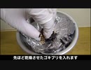 コロナ肺炎とか健康促進法とか話題だから、ゴキブリタバコ作ってみた
