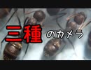 【アリの飼育記#179】種類のカメラを比較してみた　I