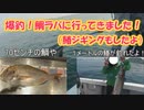 【鯛ラバ＆鰆ジギング】爆釣！鯛ラバと鰆ジギングに行ってきました