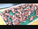 寿司職人によるホタルイカの仕込みから握りまで〜How To Make Firefly squid Sushi〜