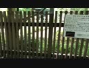 心霊スポット生放送アーカイブ昼の全裸散歩20200429