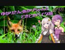 ゆかりさん・あかりちゃんと  どきどきバイク旅 ＃10 ～北海道ツーリング　７日目・最終日～　