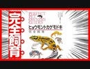 【必読！】ヒョウモントカゲモドキ完全飼育を紹介してみた【おすすめの本】
