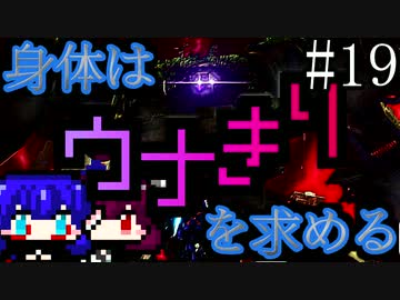 【DAEMON X MACHINA】身体はウナきりを求める#19【東北きりたん＆音街ウナ】