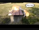 【勃発】子ニャンコ対決なのです！