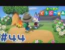 【実況】みしらぬねこと謎解きの島 #44【あつまれどうぶつの森】