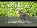 start walking -うぉーく