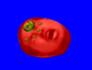 中国国旗先輩.mpChina