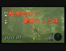 【ゼルダの伝説ブレスオブザワイルド】シーカータワーを探して・・・【実況プレイ】part40