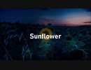 【IA】Sunflower/Orangestar 【VOCALOID カバー】