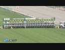 2020年　 青葉賞（ダービートライアル）