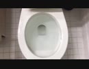 スプライトをトイレに流してみた